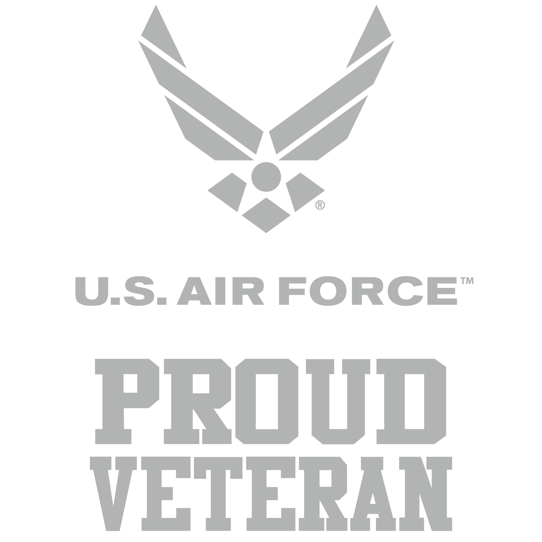 Air Force Veteran Vinyl Decal
