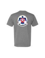 U.S. Air Force Thunderbirds Graphic T-Shirt (Dark Heather Gray)